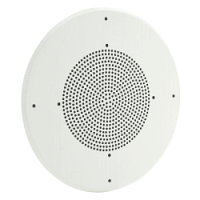 Convenient Ceiling Mounted Speaker